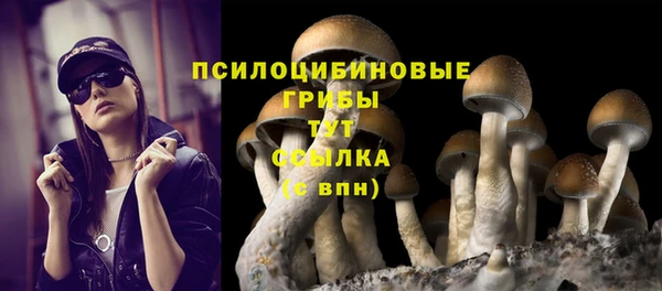 СК Михайлов