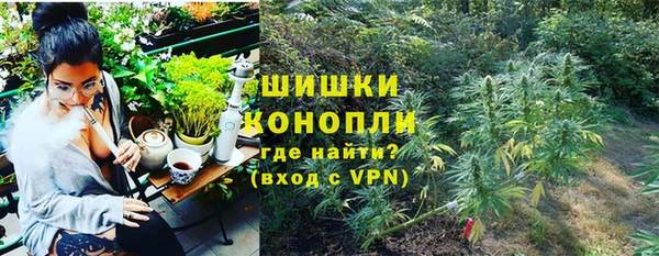 СК Михайлов