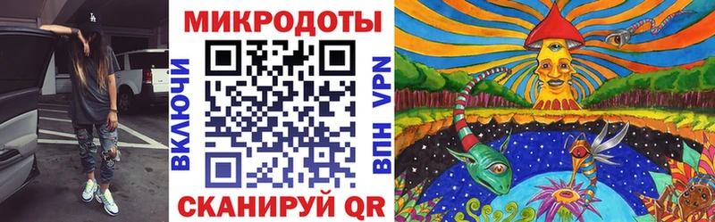 Псилоцибиновые грибы Psilocybine cubensis закладка Томилино