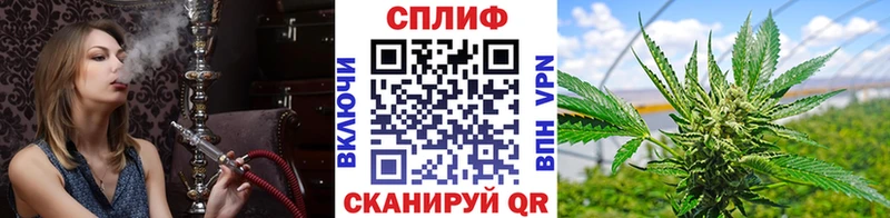 Бошки марихуана Amnesia Томилино
