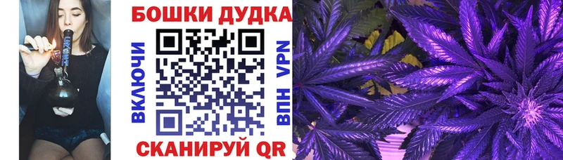 купить наркотик  Томилино  Каннабис Ganja 